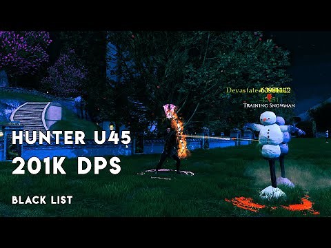 LOTRO Red Hunter u45 201k DPS