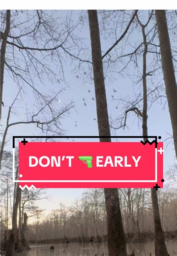 Essential Tips for Responsible Duck Hunting