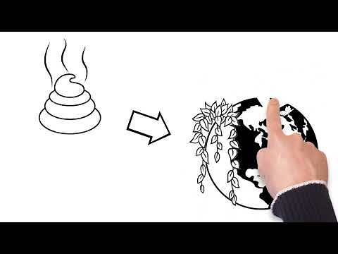 Dino Poop! Coprolites, T-Rex Poop, & Science