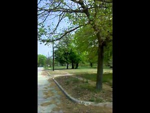 Cadillac Heights Metal Detecting