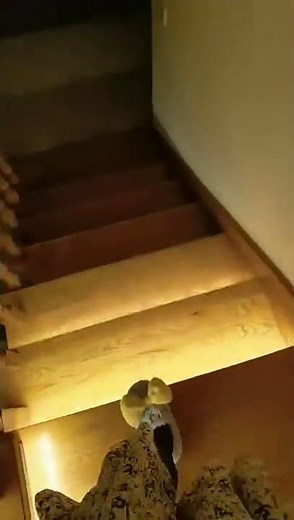 Motion Sensor LED Stair Lights - superlightingled