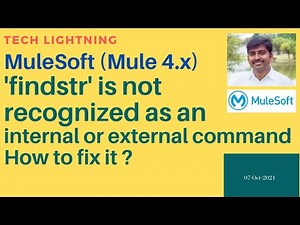 MuleSoft | How to resolve 'findstr' is not recognized as an internal or external command error Mule4