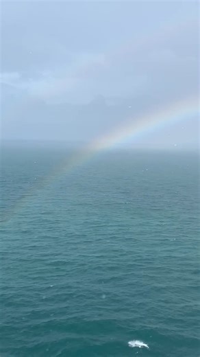 Stacey Sexton Rolinitis on Reels