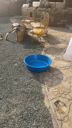 Traditional Bread Making Process Explained