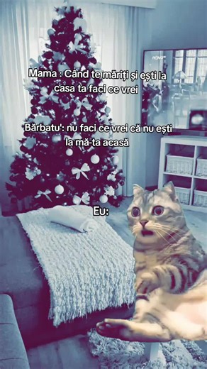 😂😂😂#Meme #MemeCut #CapCut #fyyyyyyyyyyyyyyyy #viralvideo TikTok