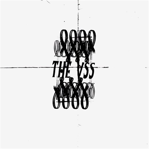 The VSS - The VSS