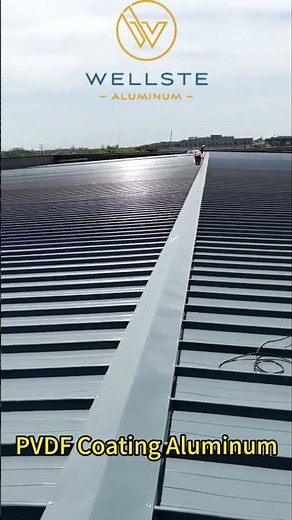 PVDF Coating Aluminum #wellste