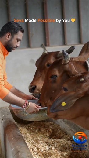 gratitude beyond words 🙏