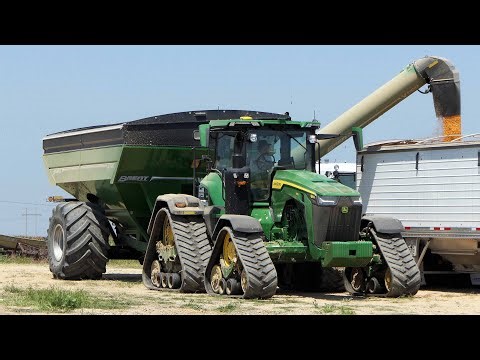Corn Harvest 2023 at Delta Farms | Big Machines in The Field