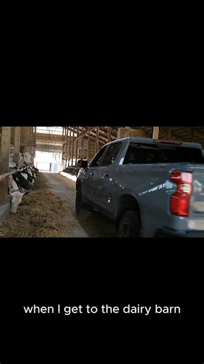 17 reactions | Moving supplies on the farm with the Silverado 1500. Thanks to the Central PA Chevy Dealers. #ad | Local Chevy Dealers | Facebook