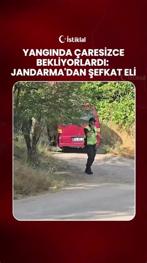 YANGINDAN KAÇAN KAPLUMBAĞA AİLESİNE JANDARMA EKİPLERİNDEN ŞEFKAT ELİ!