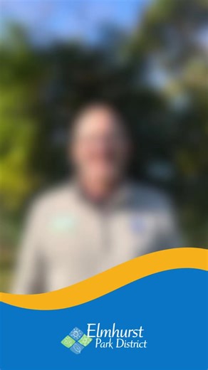 New registration software is here! Tune in all November to learn about the new software, ActiveNet! We kick off our FAQ video series with “What is ActiveNet?” | Elmhurst Park District | Facebook