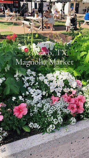 Exploring Magnolia Market in Waco, TX