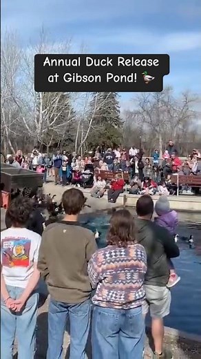 🦆 Annual Great Falls tradition! #greatfallsmontana #visitgreatfalls
