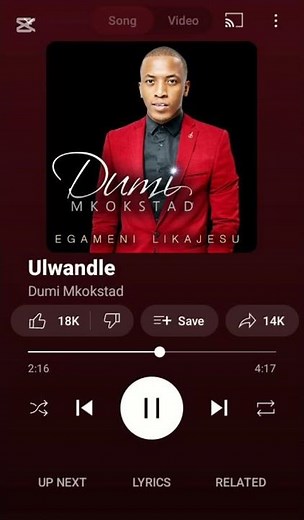 Ulwandle Song- Dumi Mkokstad