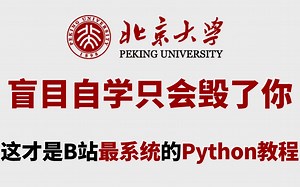 【整整600集】北京大学196小时讲完的Python教程（数据分析），全程干货无废话，小白也能学成大佬！学不会我退出IT界！
