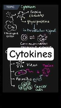 Cytokines: The Messengers of the Immune System