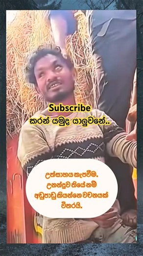 උත්සාහ උනන්දුව කැපවීම. Sinhala motivation #positivethinking #advise #shorts