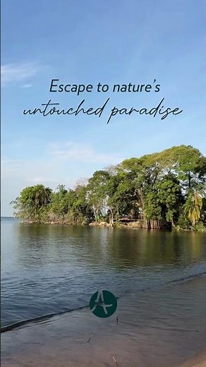 Rubondo Island | Exclusive Escape 🌿 #travel #asiliaafrica #luxurysafari #tanzaniatravel