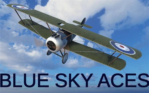 蓝天王牌 一战空战模拟