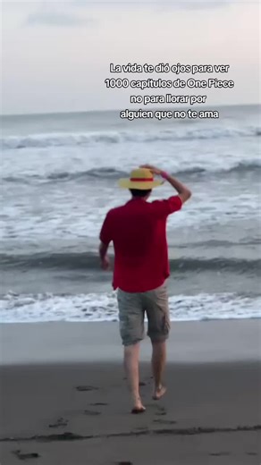 Final de la primera temporada de One Piece