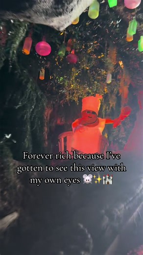 Magical Moments at Disney World