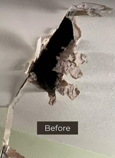 Tree Removal Made Easy — Sacramento Home Edition