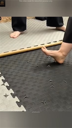 Bishi Ninja Weapon 😱 #ytshorts #facts