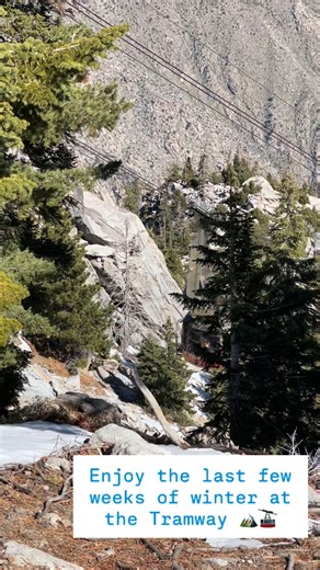 Enjoy the last few weeks of winter at the Palm Springs Aerial Tramway! 🏔️🚠 | Palm Springs Aerial Tramway