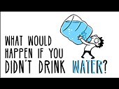 What would happen if you didn’t drink water? - IELTS listening practice test