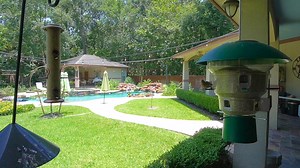 16K views · 1K reactions | I love feeding the birds... Enjoy! | Mark Lowry | Facebook