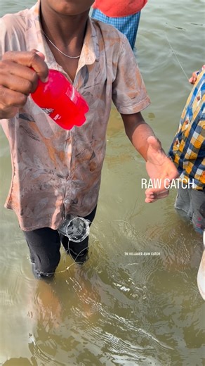 RAW_CATCH on Instagram: "Red juice as fishing bait? Real or fake"