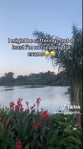 Kenyan TikTok Memes: Laughing Through Struggles