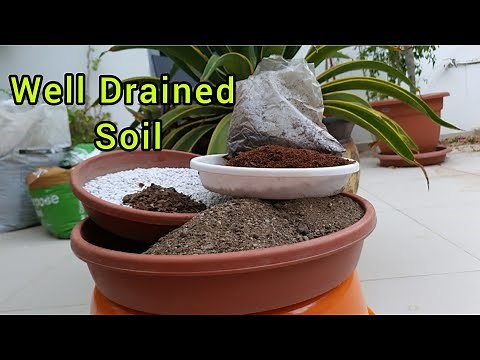 How To Prepare well drained Potting Soil / How To Make Potting Soil For Flowering plants / Pot Soil