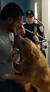 "He's gone. Tonight," I promised my wife after our rescue dog bit me. I called Animal Control to have him euthanized. But as the officer led him away, he broke free and tore through my daughter's bedroom wall. The sound we heard from inside proved he wasn't the monster in our house..... The house on Cedar Creek Road didn’t just sit on the plot; it lurked, a blackened architectural mass that seemed to actively swallow the sunlight. It was a Victorian relic, a towering monster of peeling slate-gre