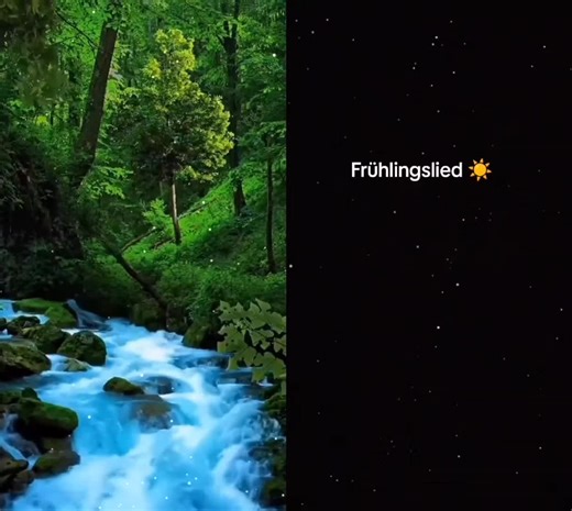 Mondschein (@mondschein667)’s videos with Originalton - Mondschein