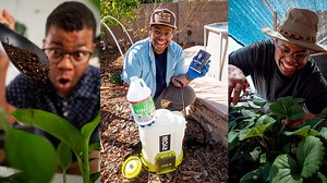 15 gardening tips for a blooming spring and summer