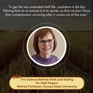 Mold is one of the problems faced by bakers and others in the food industry because it affects the quality and shelf life of their products. What could be the factors that cause this to develop, and the things that should be done to prevent the formation of molds? Hear what Dr. Debi Rogers of Kansas State University says about this and other science behind molds and staling: https://www.youtube.com/watch?v=YopLx8YdvgA | Go Wheat
