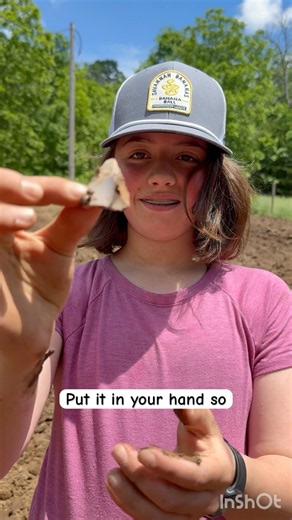 Starting Young! #arrowhead #arrowheadhunting #nativeamerican #artifacts #artifacthunting #rocks