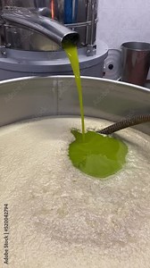 Olive oil factory, production of virgin olive oil in Italy