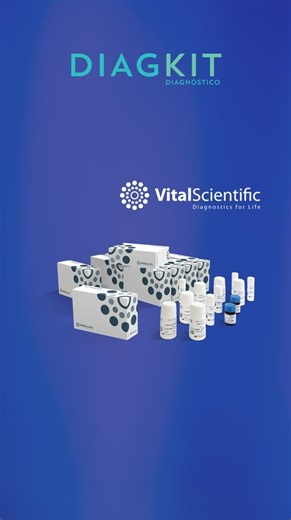 Diagkit on Instagram: "🚨ATENCIÓN LABORATORIOS🚨 Mantén tu laboratorio al día con el menú que Química Sanguínea estandarizado de Vital Scientific. Reactivos listos para usar (líquidos y estables), con diseño y fabricación europea y marcado CE–IVDR, ideales para asegurar precisión, reproducibilidad y continuidad operativa en el laboratorio clínico. ✅ Menú de Química Clínica con disponibilidad inmediata (Vital Scientific): Perfil Glucémico / Diabetes: • Glucosa • Hemoglobina glicosilada (HbA1c) Pe