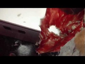 Homemade texas chainsaw massacre leatherface mask