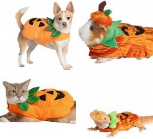 PetSmart hosting costume contest for pets with gift card prizes