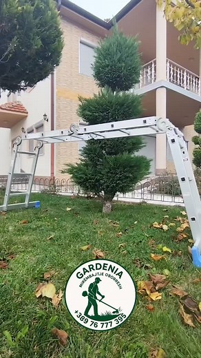 1.2K views · 18 reactions | #topiary | GARDENIA-Mirëmbajtje të oborreve | Facebook