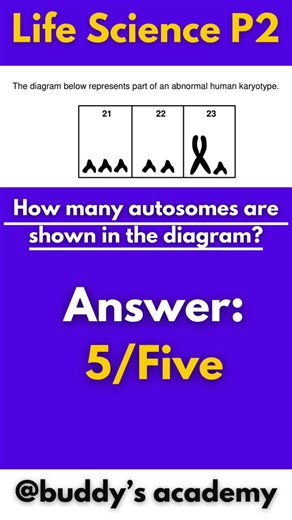 Grade 11 Life Science Paper 2 Question and Answers