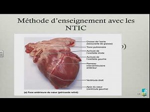 L'enseignement de l'anatomie et de la physiologie du corps humain