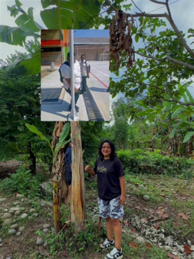 Cosechando verde ajeno con mi hermana: pasaje en el campo