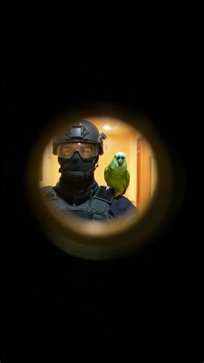 On vient pour la fuite ! oups #perroquet #humour #humoristefrancais #plombier