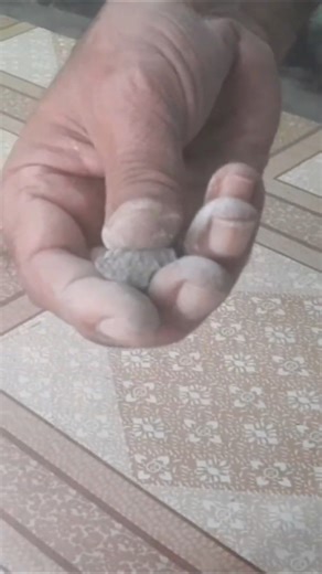 Dry Strength Test 👉 Soil Plasticity