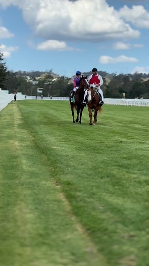  Thursday racing  #ipswichraces #horseracing #horses #jockeys #thingstodoinipswich | Ipswich Turf Club | Facebook